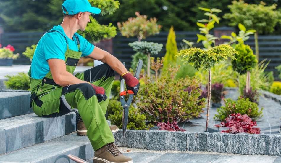 Responsabilidades de un Jardinero incluyen